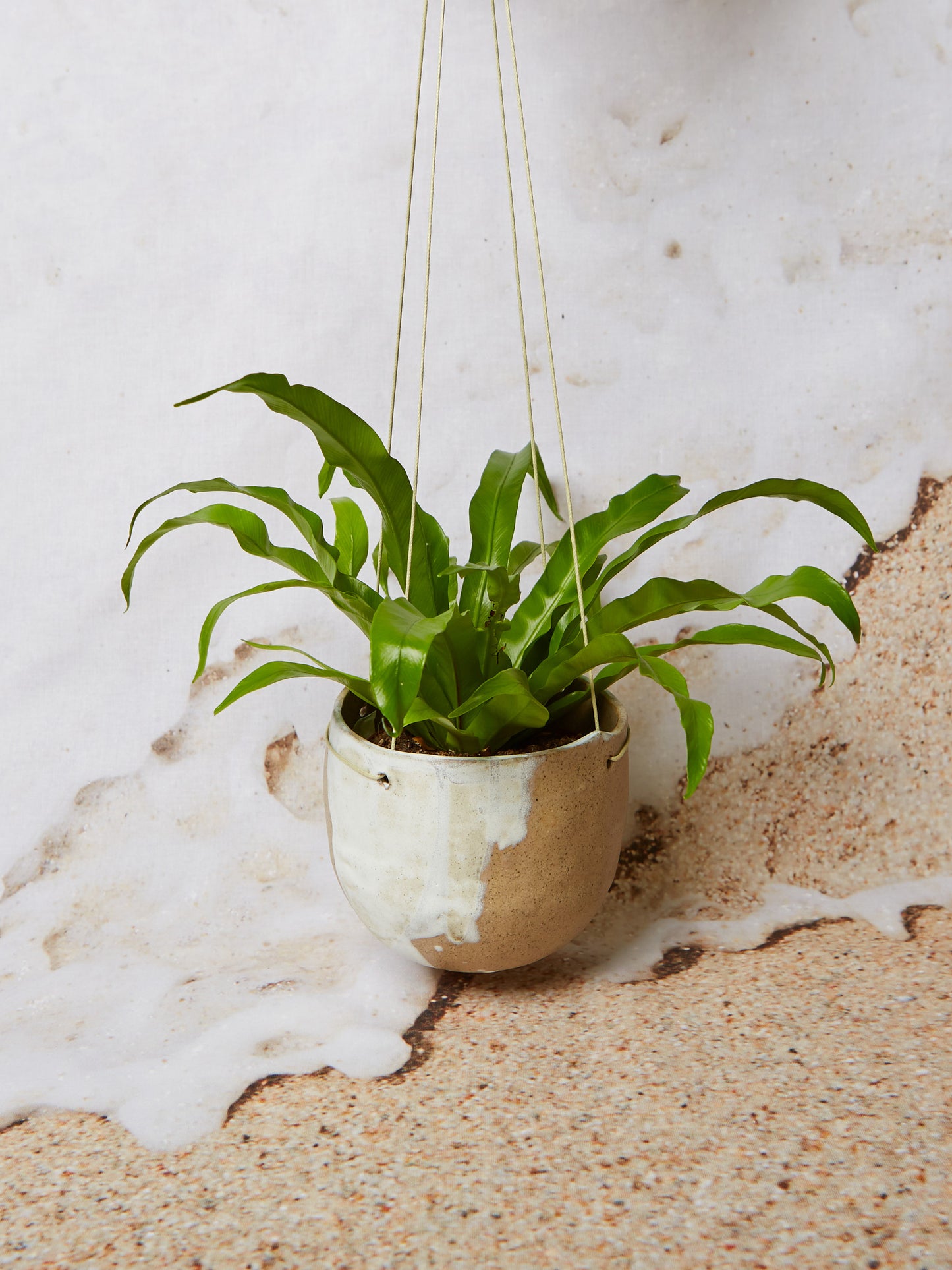mare hanging planter