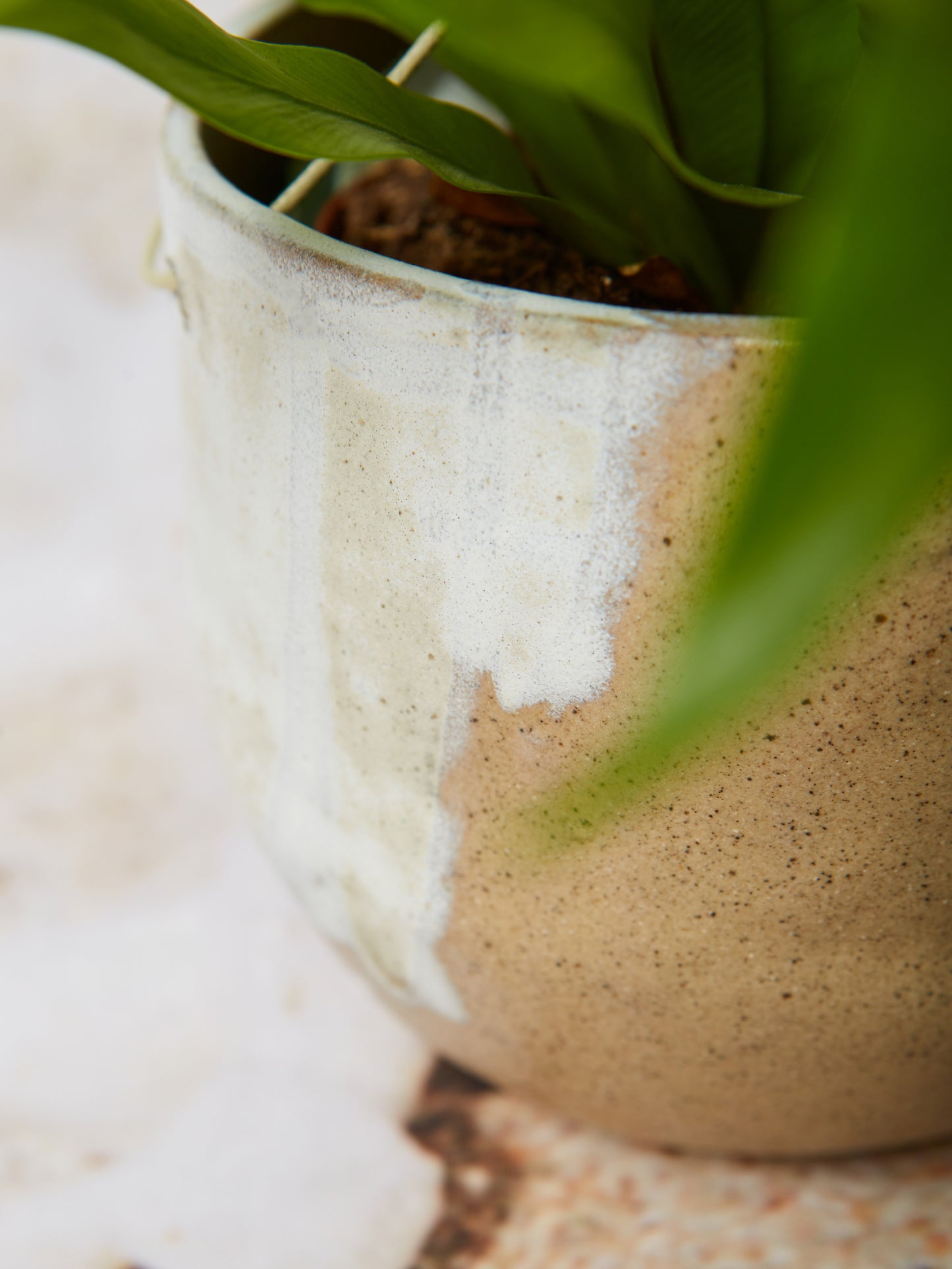 mare hanging planter