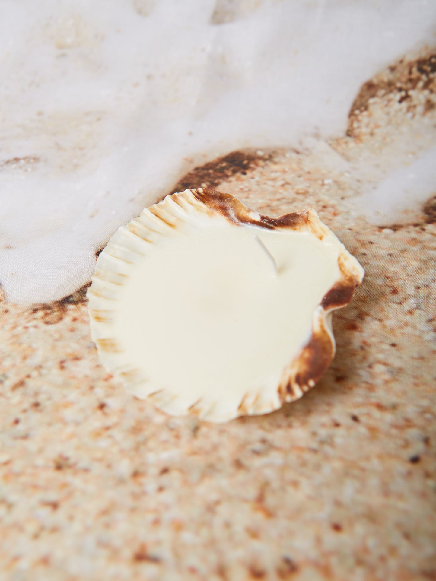 mare shell candle