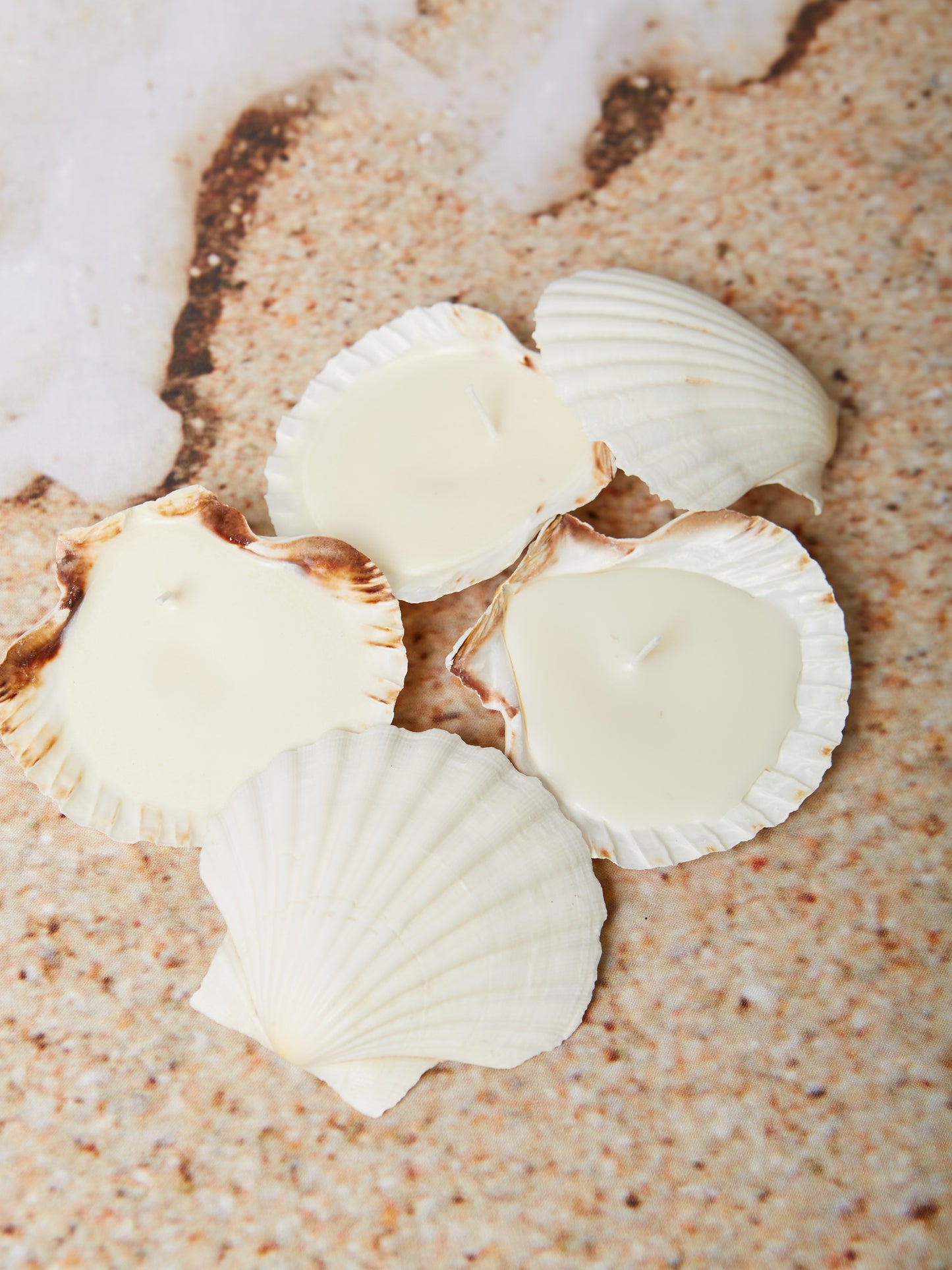 mare shell candle