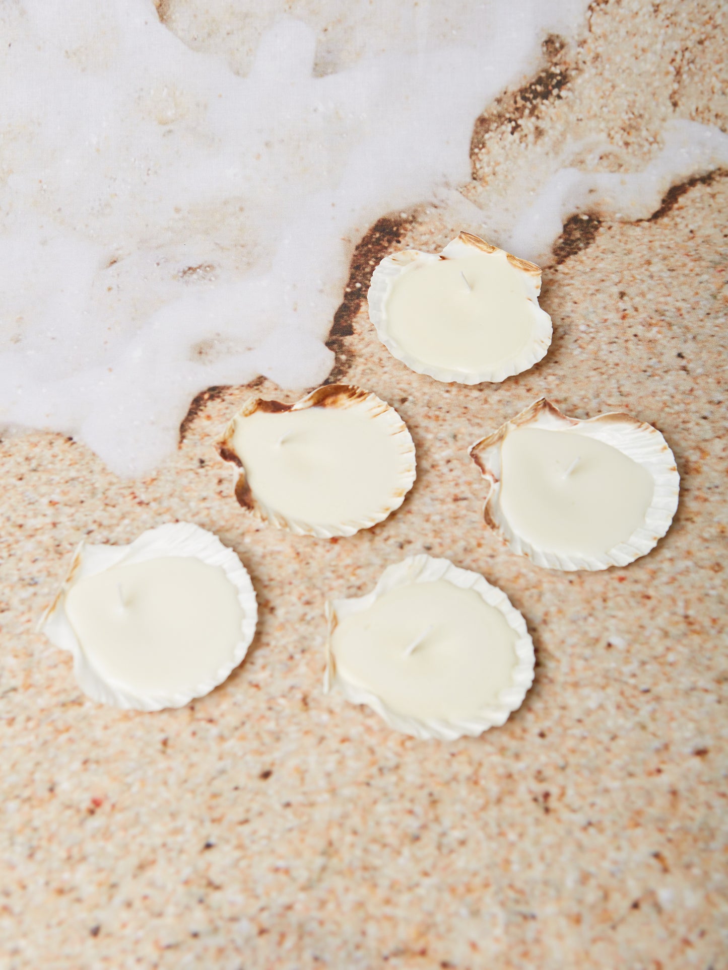 mare shell candle