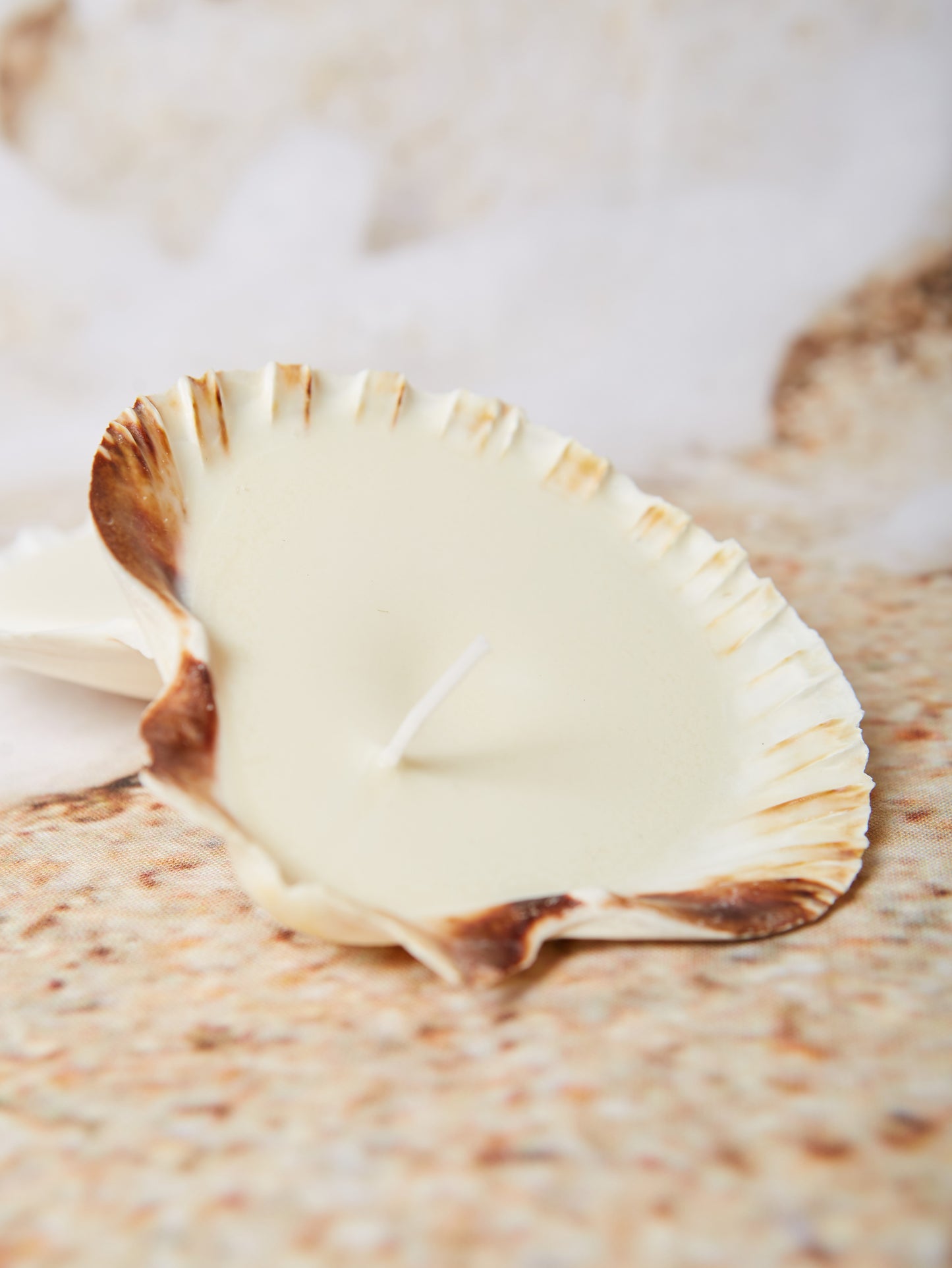mare shell candle